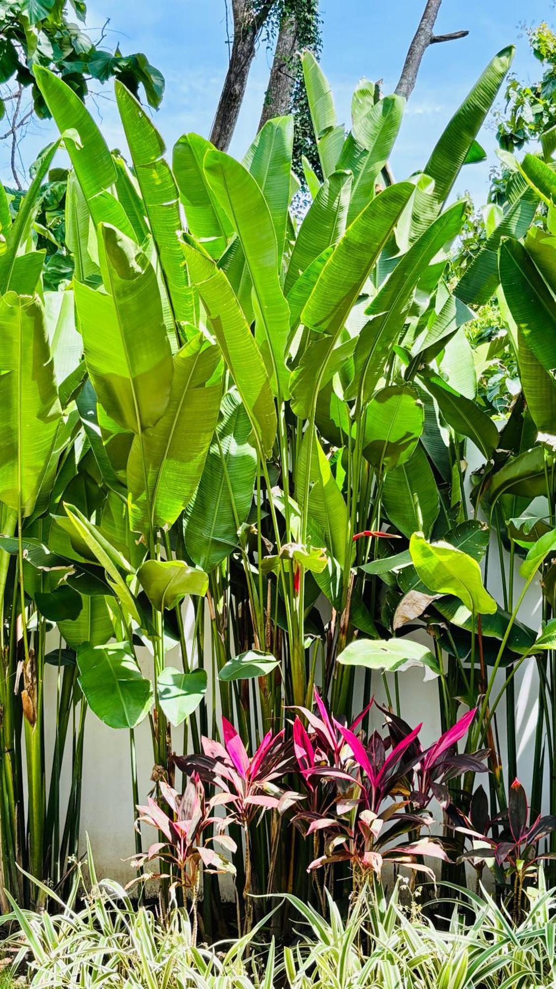 Mantra Wellness Center Hotel Uluwatu Kültér fotó